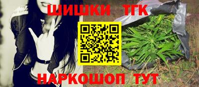 гидра Братск