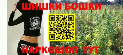 сатива Брянск